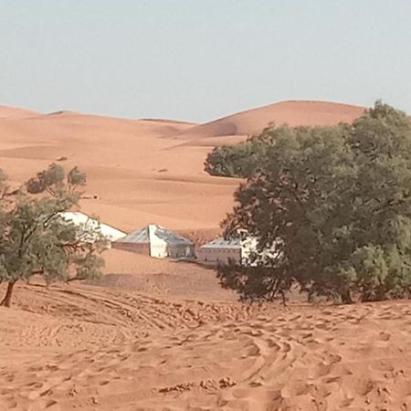 Bivouac Camel Trips Hotel Merzouga Buitenkant foto