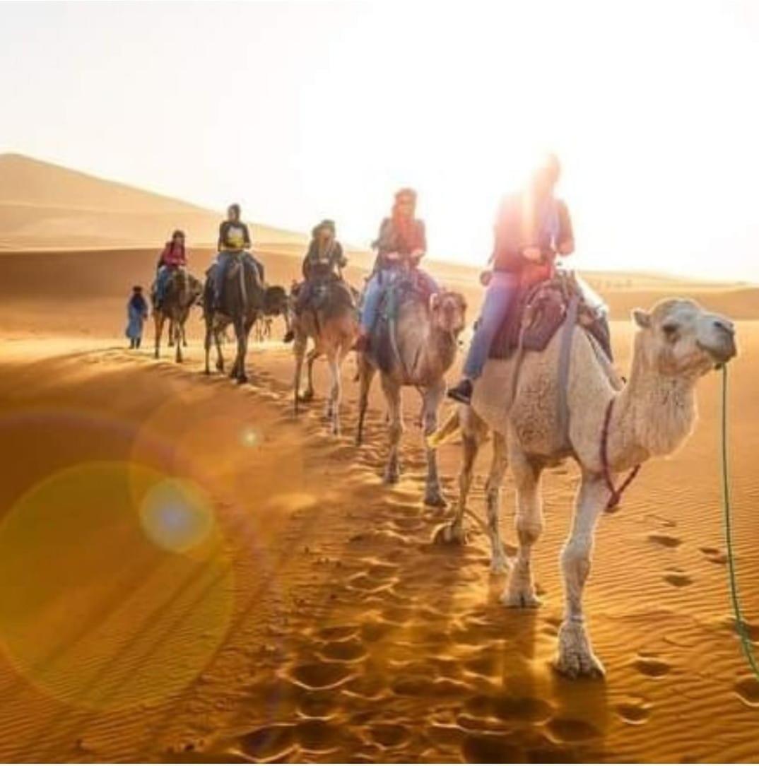 Bivouac Camel Trips Hotel Merzouga Buitenkant foto