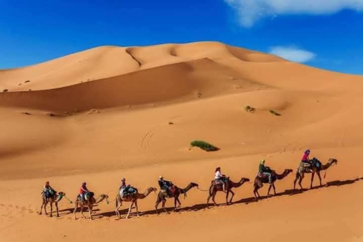 Bivouac Camel Trips Hotel Merzouga Buitenkant foto