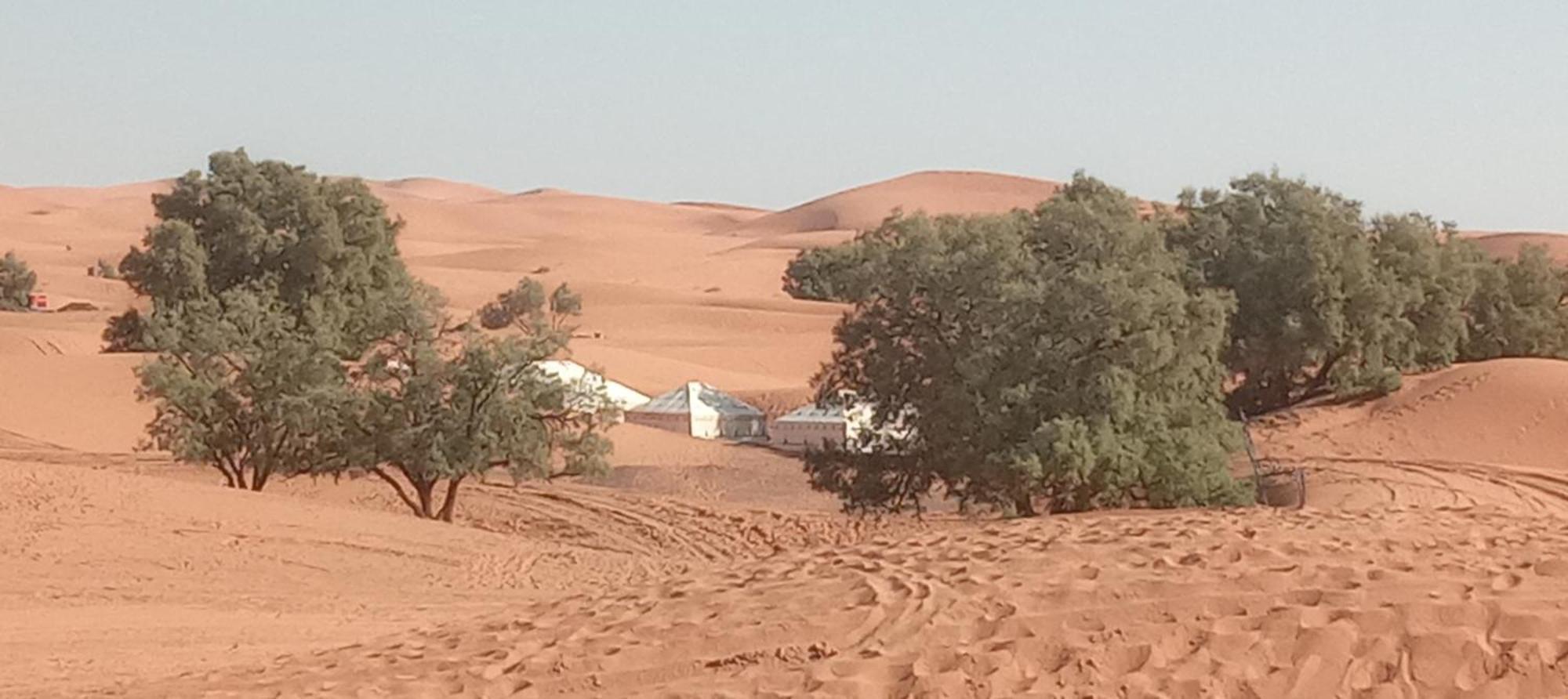 Bivouac Camel Trips Hotel Merzouga Buitenkant foto