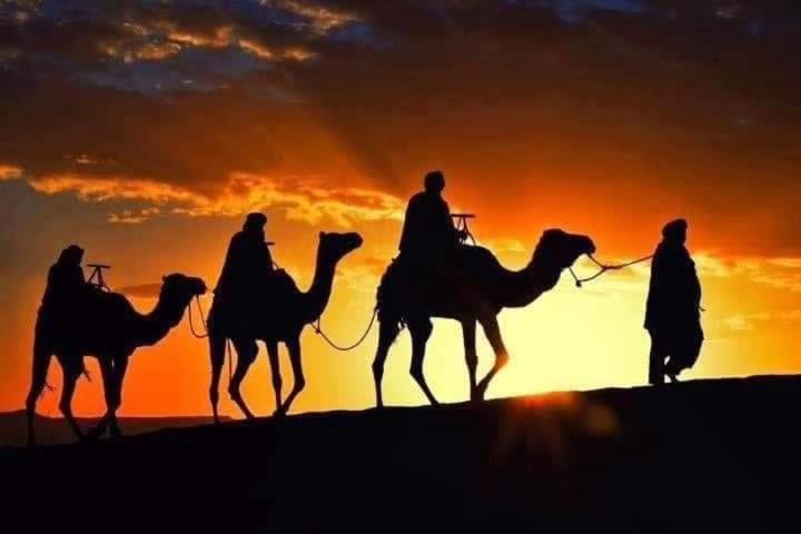 Bivouac Camel Trips Hotel Merzouga Buitenkant foto