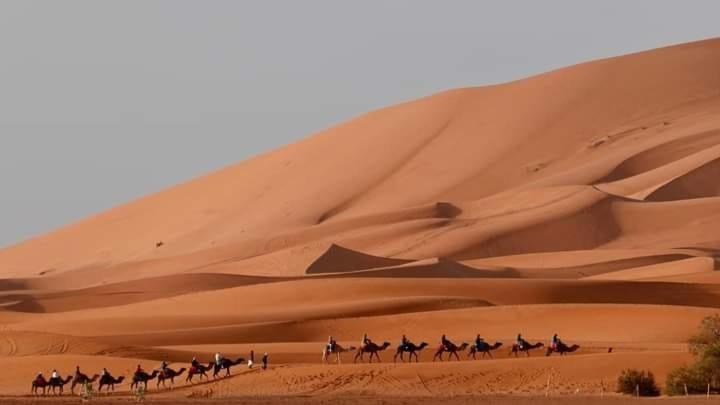 Bivouac Camel Trips Hotel Merzouga Buitenkant foto