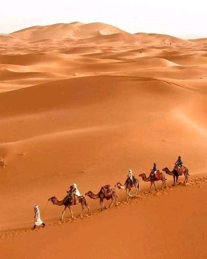Bivouac Camel Trips Hotel Merzouga Buitenkant foto