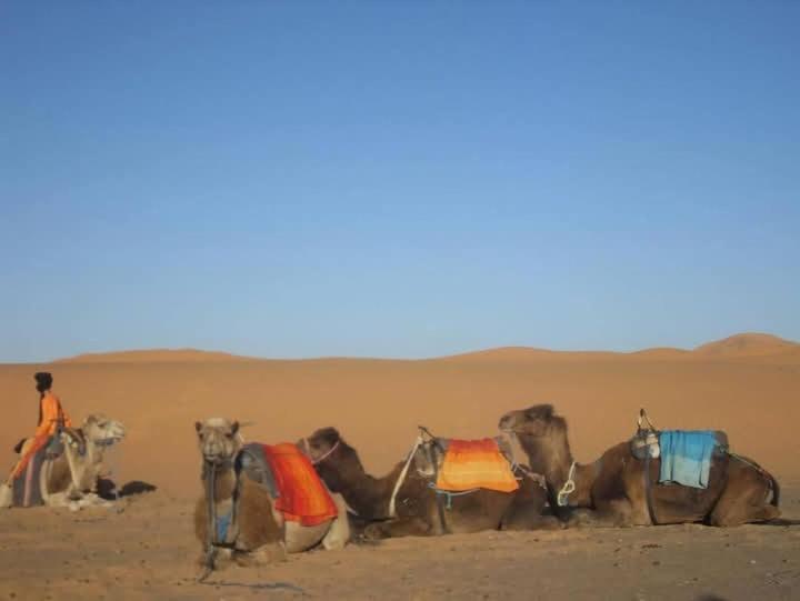 Bivouac Camel Trips Hotel Merzouga Buitenkant foto