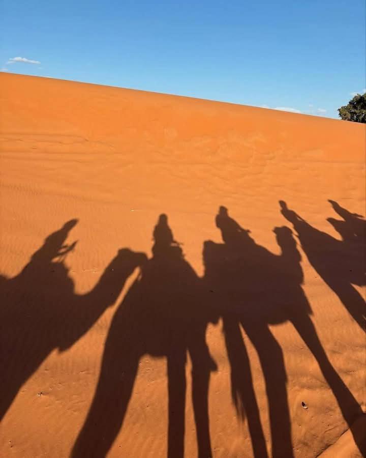 Bivouac Camel Trips Hotel Merzouga Buitenkant foto