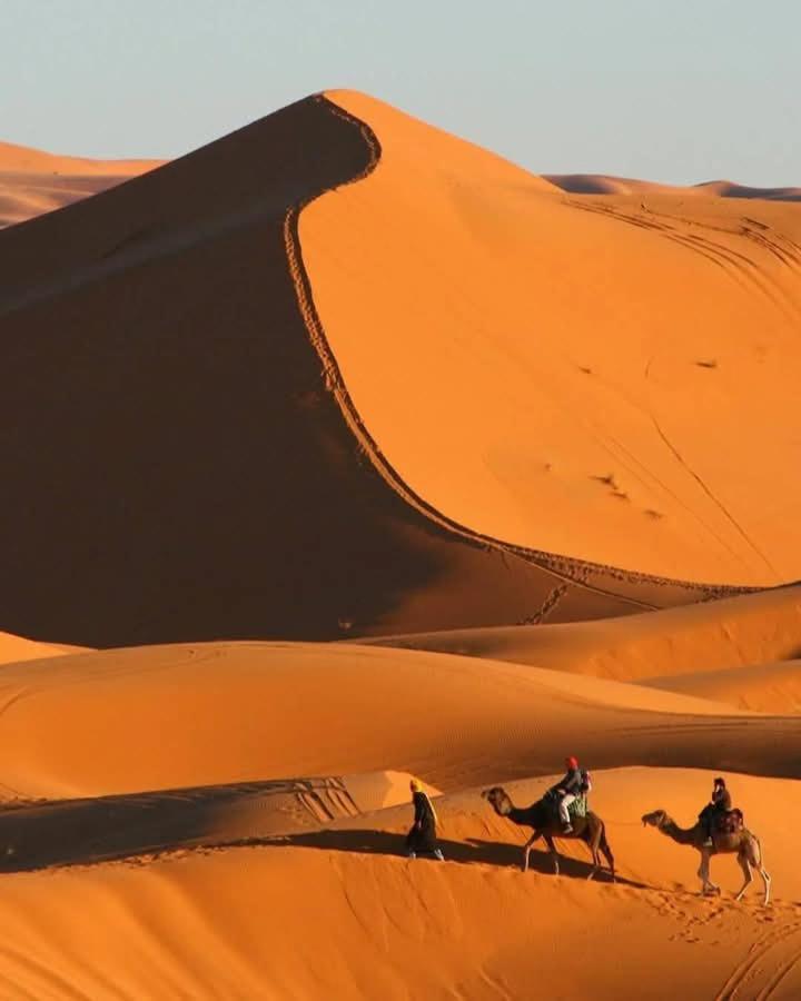 Bivouac Camel Trips Hotel Merzouga Buitenkant foto