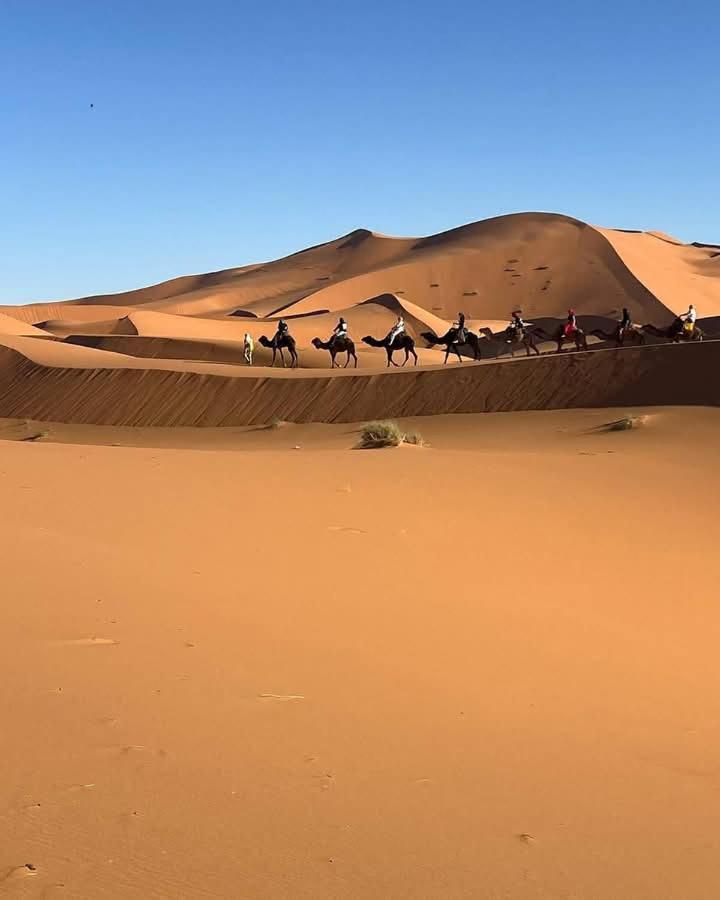 Bivouac Camel Trips Hotel Merzouga Buitenkant foto